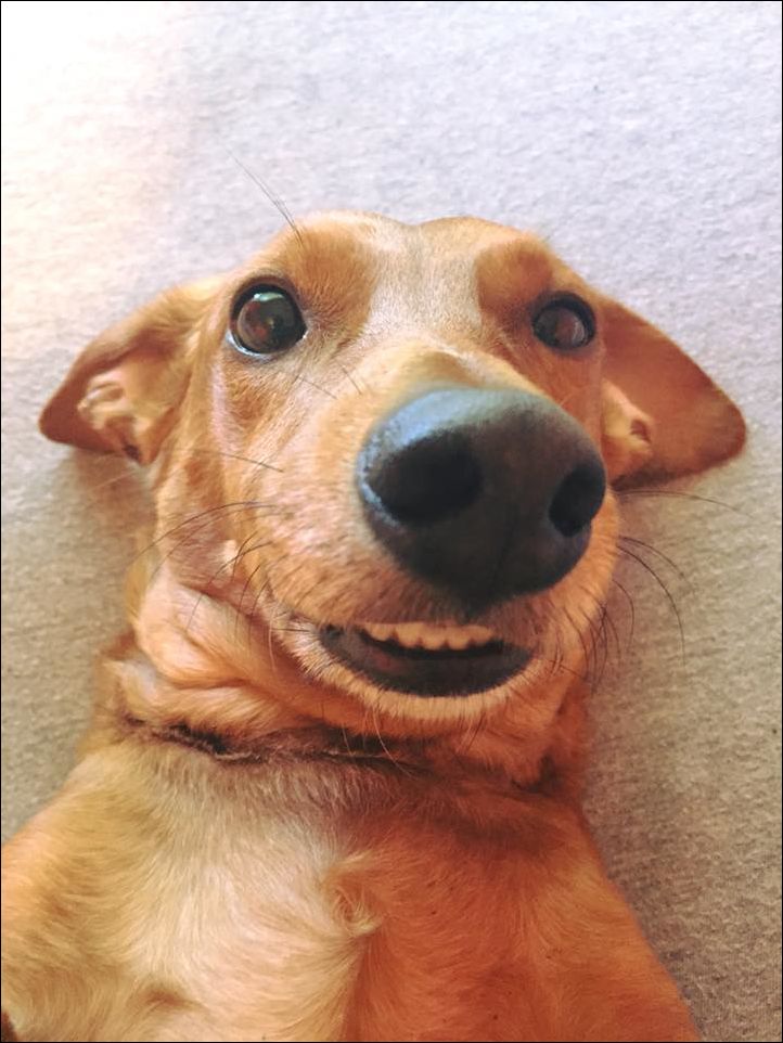 Фото приколы