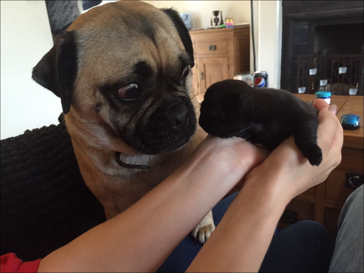 Фото приколы