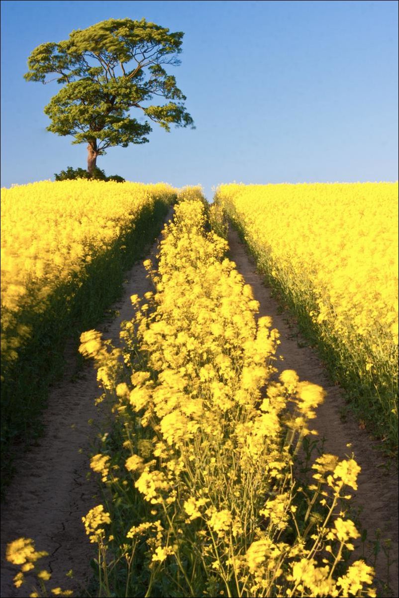 Фото приколы