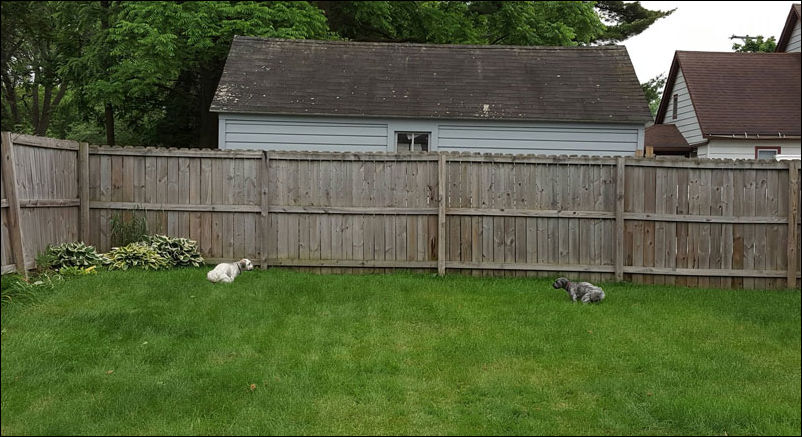 Фото приколы