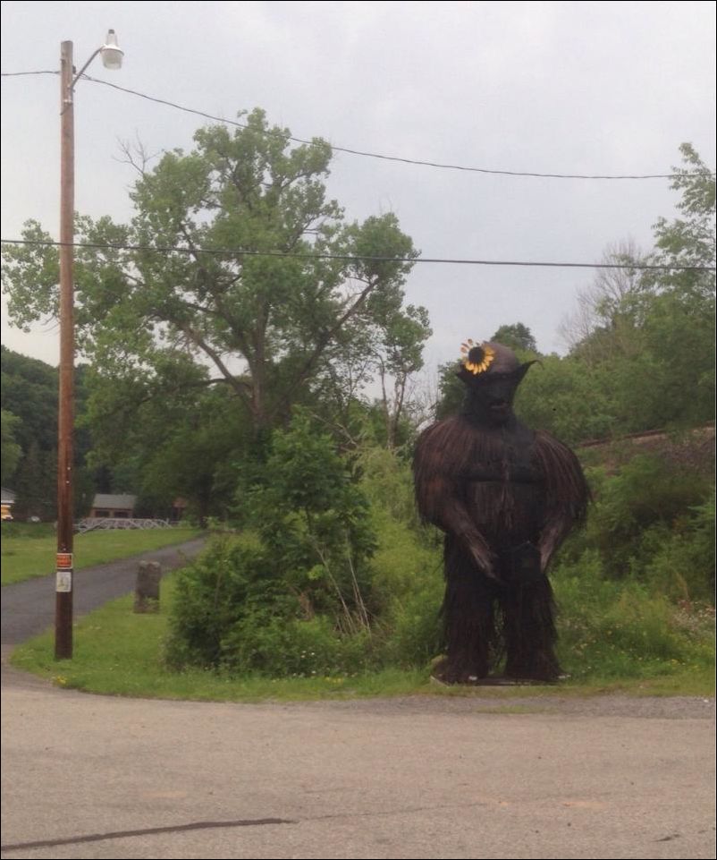 Фото приколы