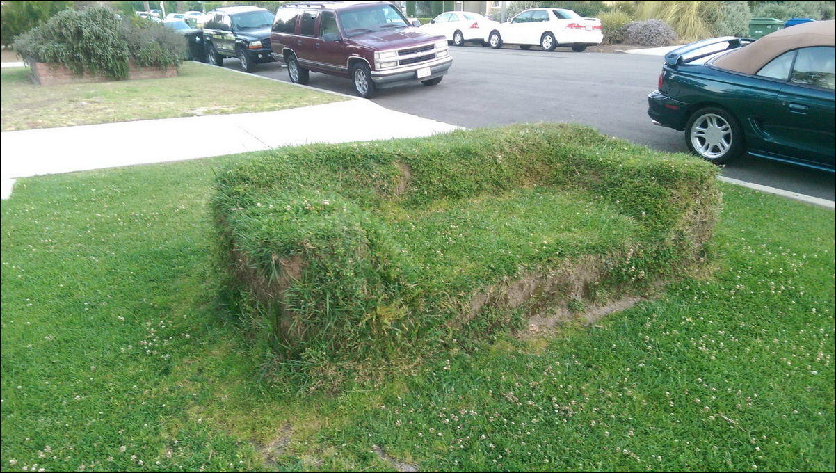 Фото приколы