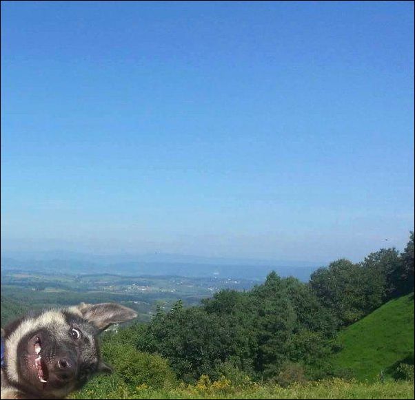 Фото приколы