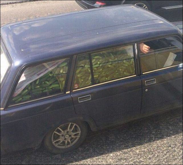 Фото приколы