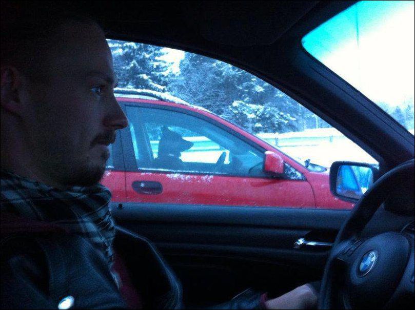 Фото приколы