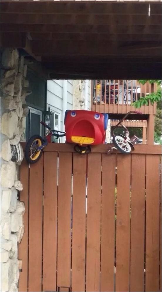 Фото приколы