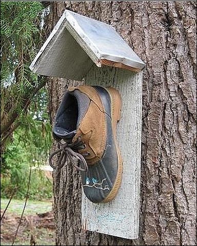 Фото приколы