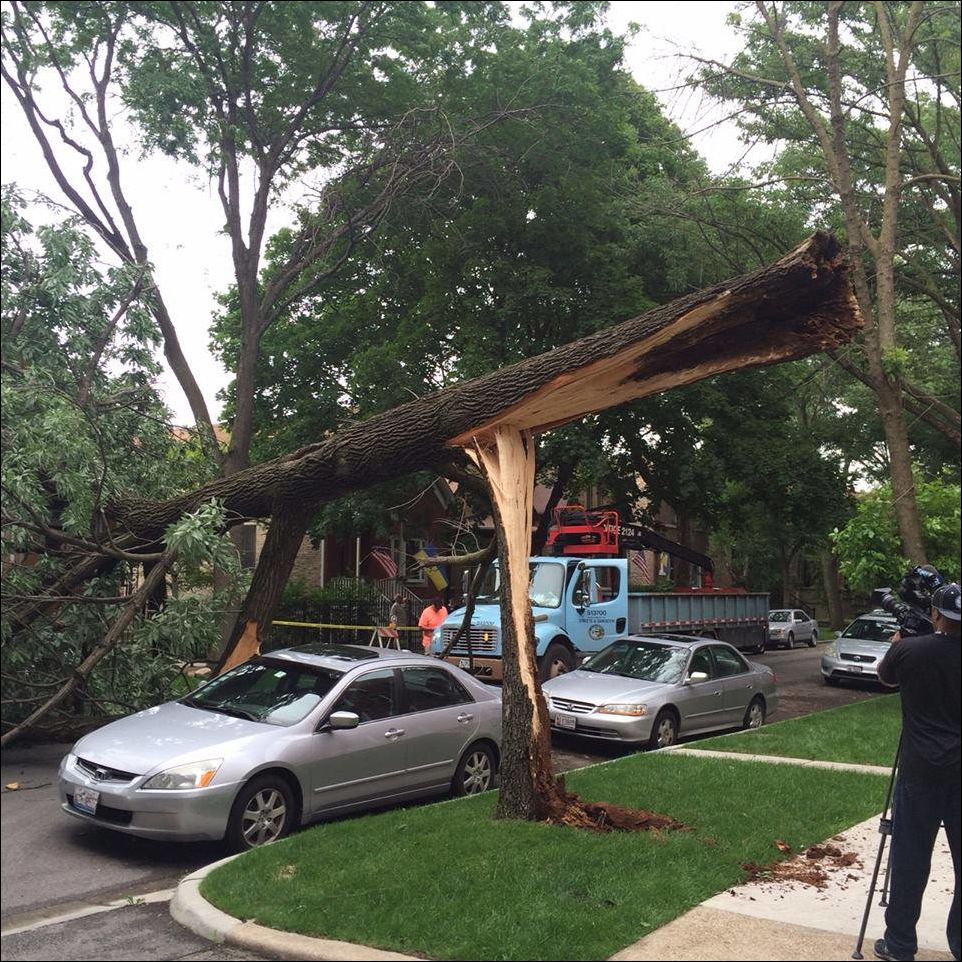 Фото приколы