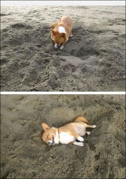 Фото приколы