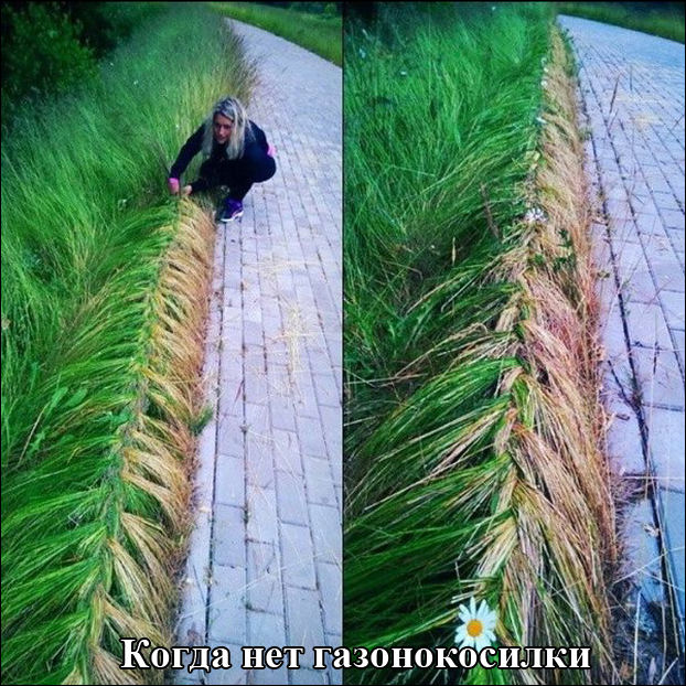 Фото приколы