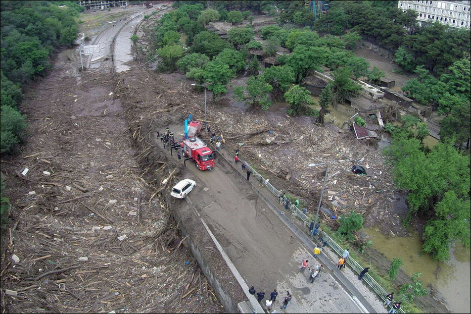 Животные из зоопарка на улицах Тбилиси