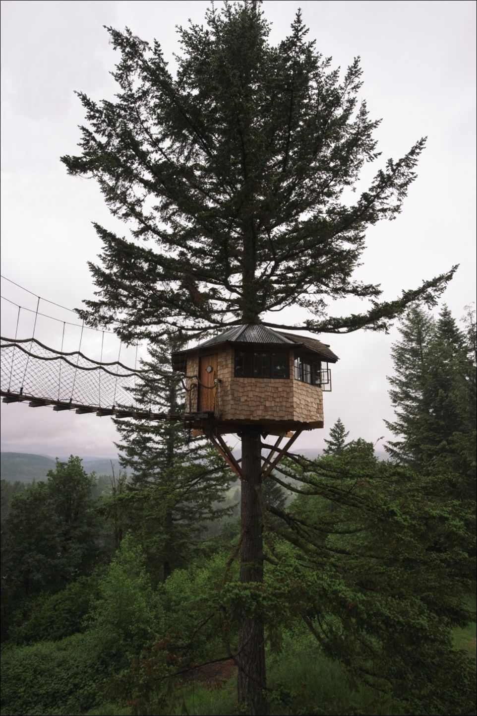Дом на дереве