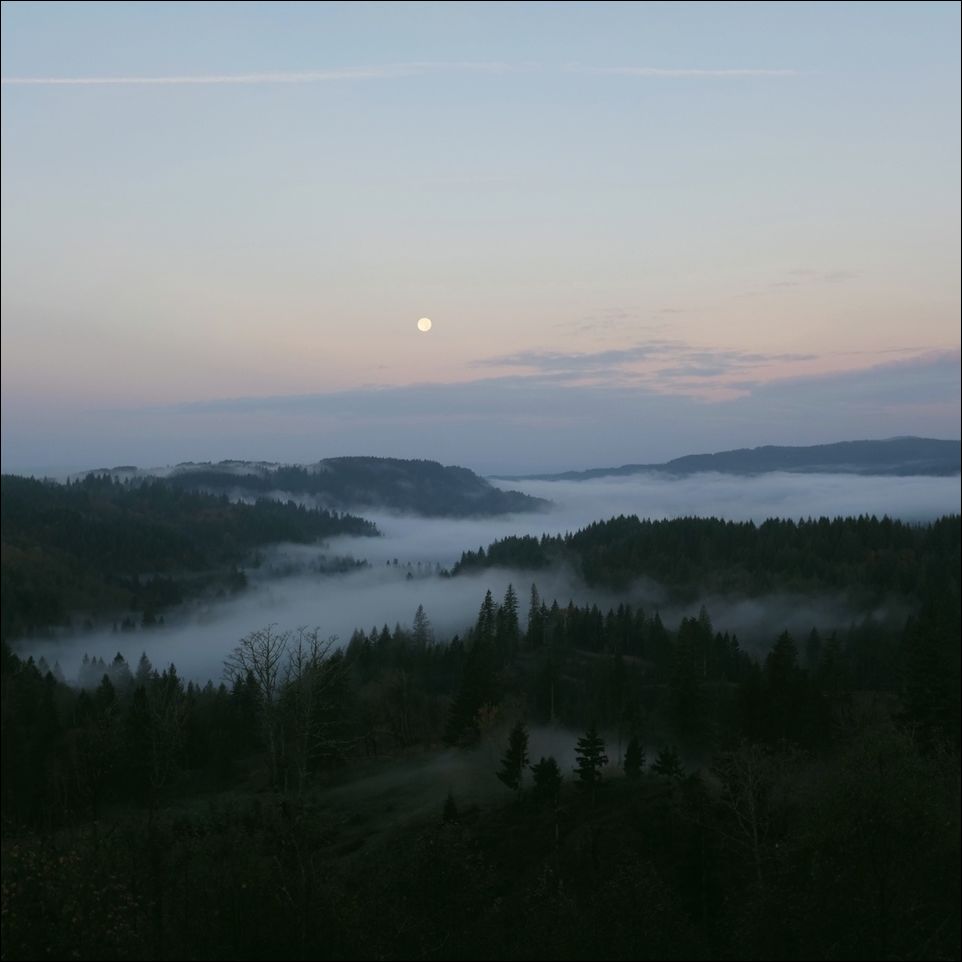 Дом на дереве