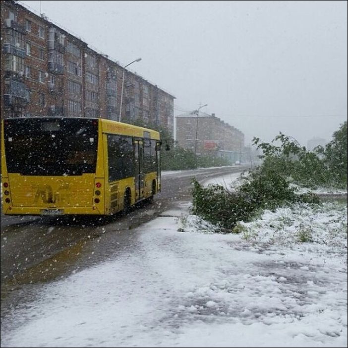 В Воркуте выпал снег