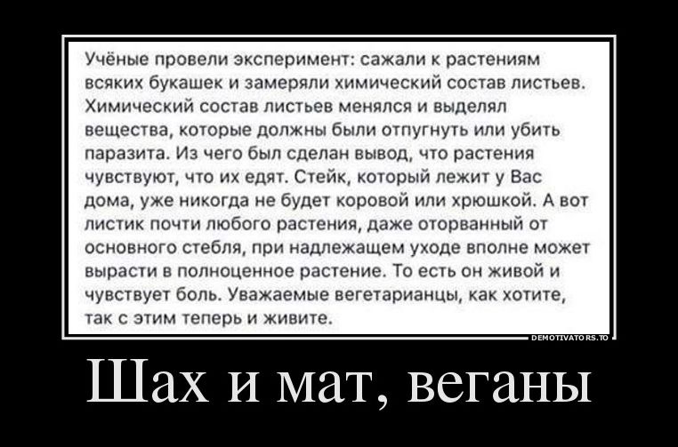 Демотиватор