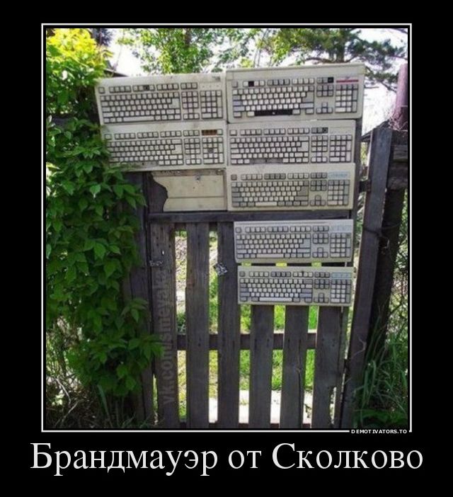 Демотиватор