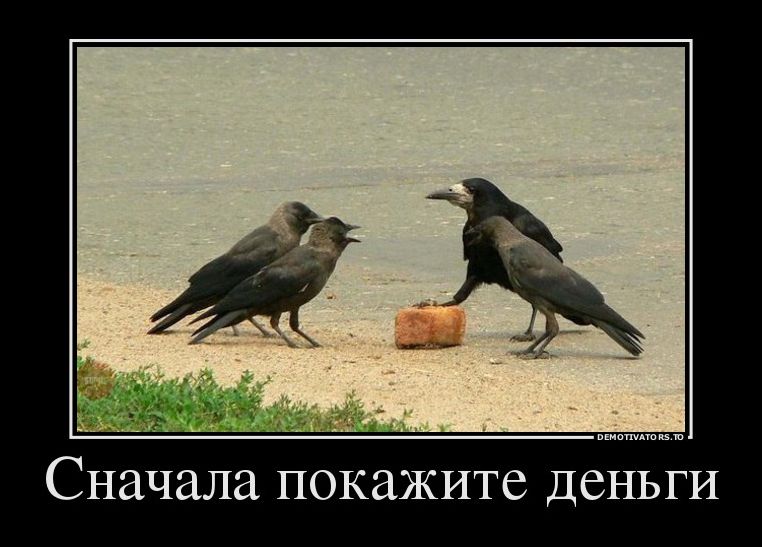 Демотиватор