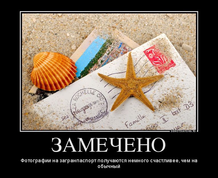 Демотиватор