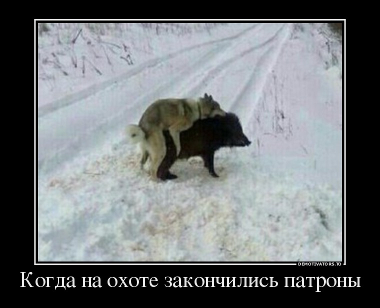 демотиватор