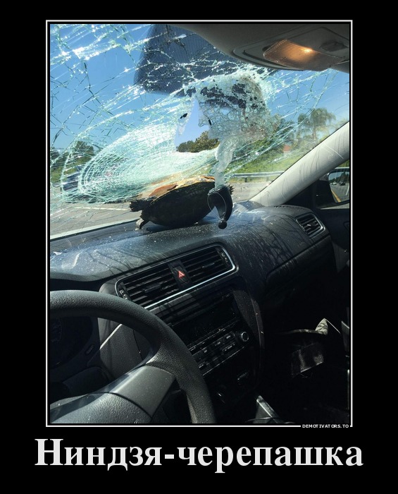 демотиватор