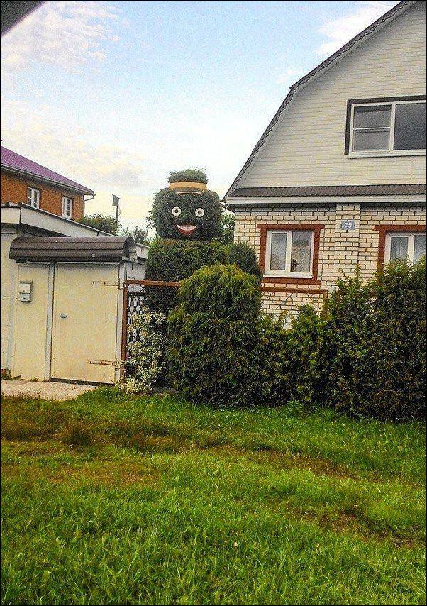 фотоприколы