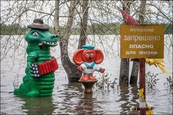 фотоприколы