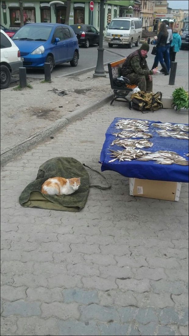 фотоприколы