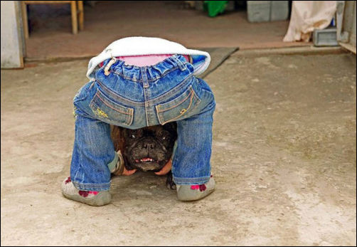 фотоприколы
