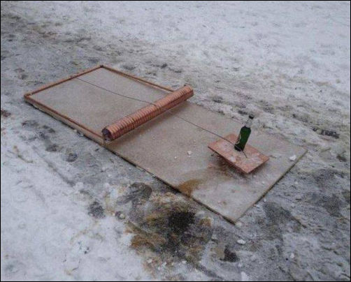фотоприколы