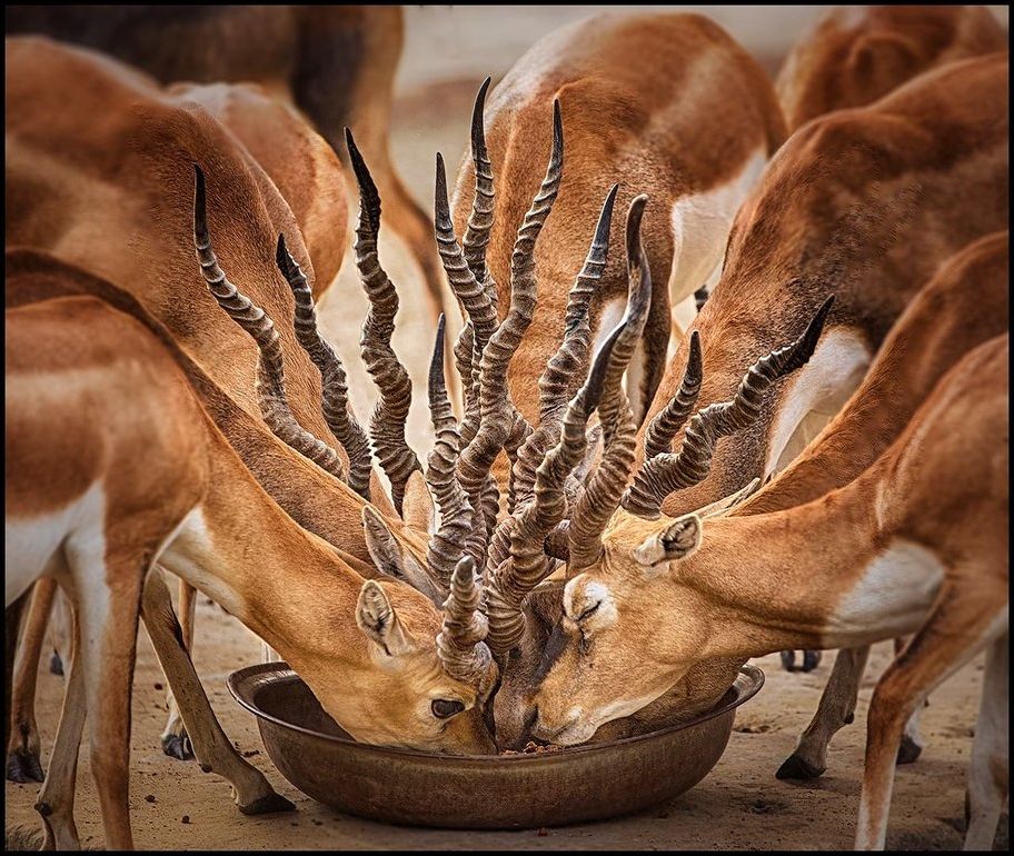 фотоприколы