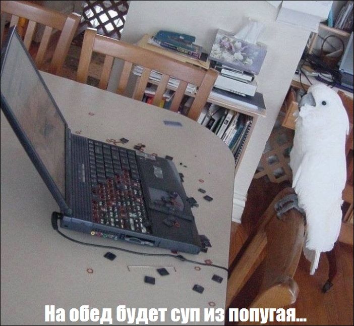 фотоприколы