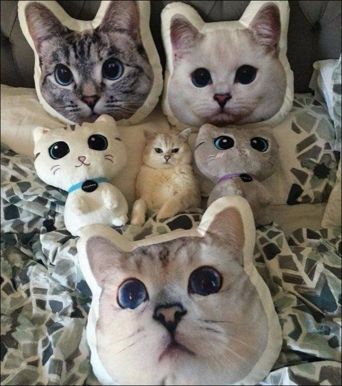фотоприколы