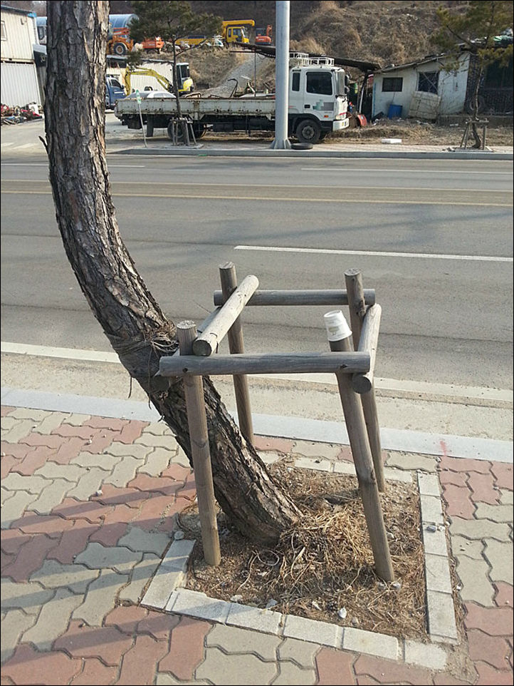 фотоприколы