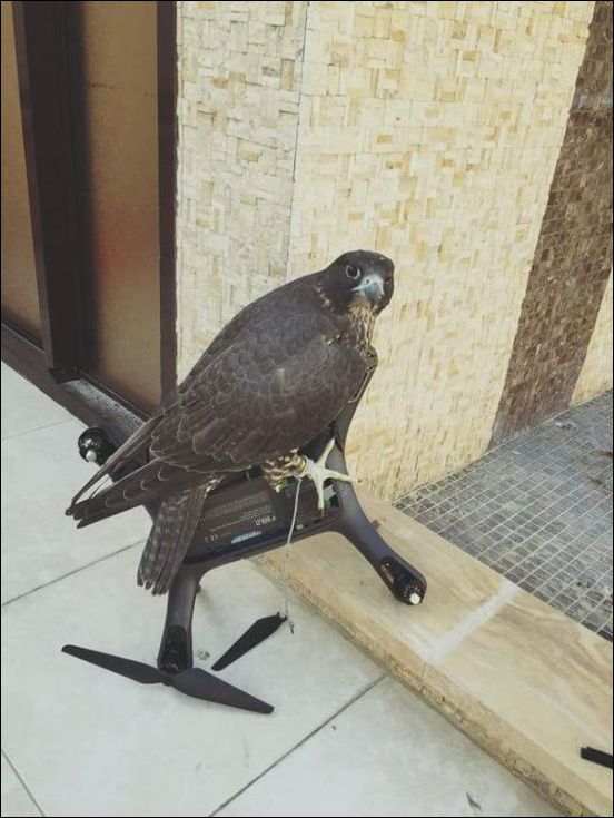 фото приколы