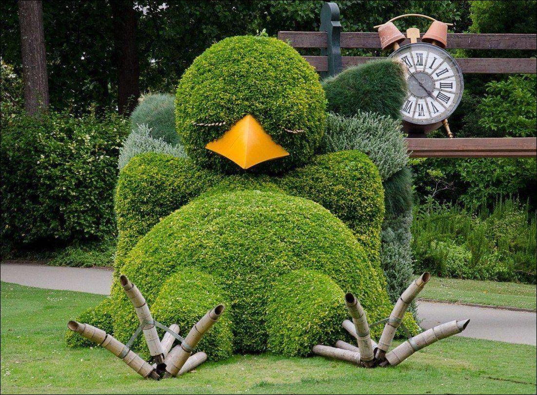 фото приколы