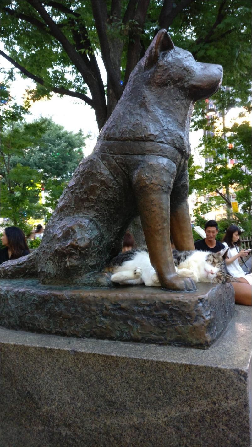 фото приколы