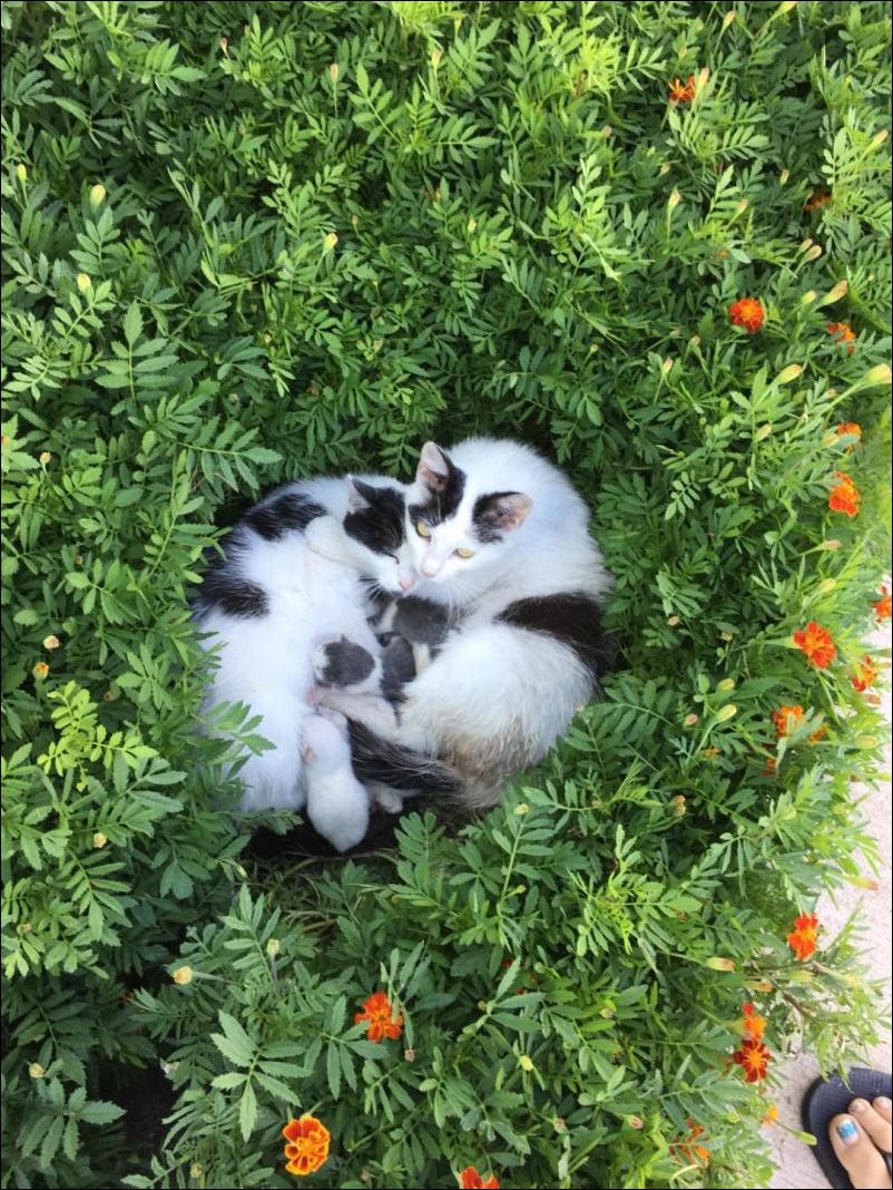 фото приколы