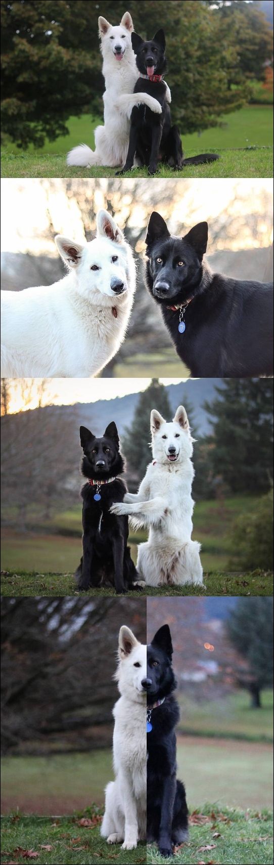 фото приколы