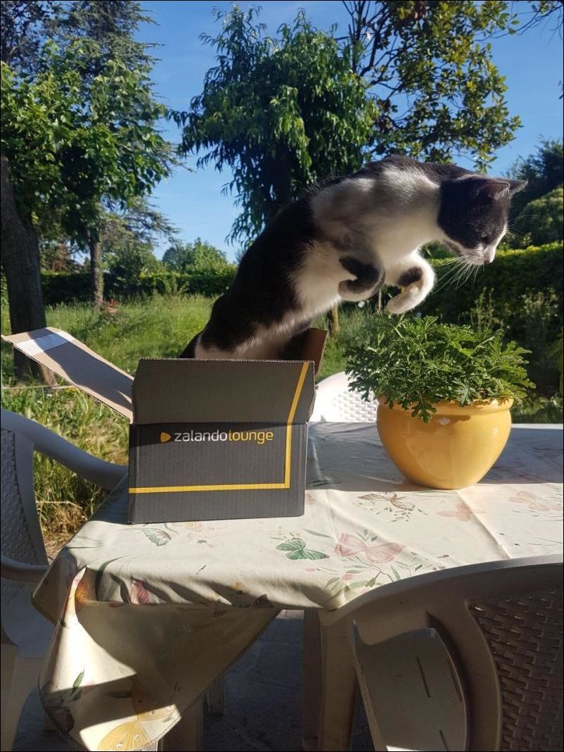 фото приколы