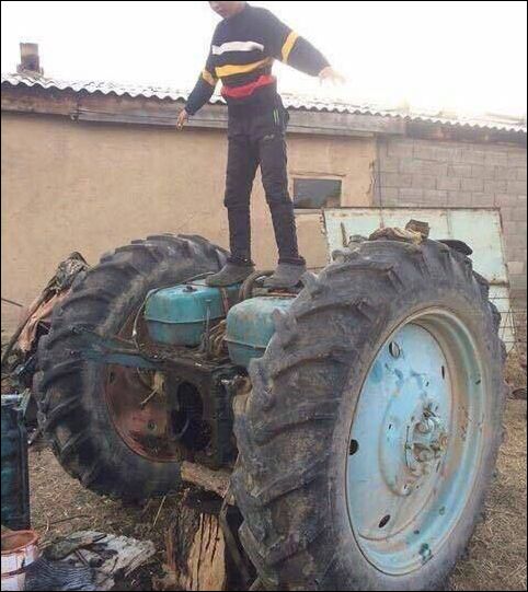 фото приколы