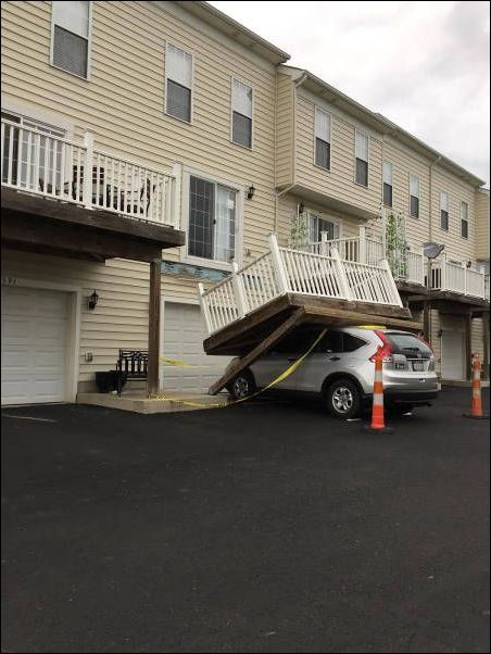 фото приколы