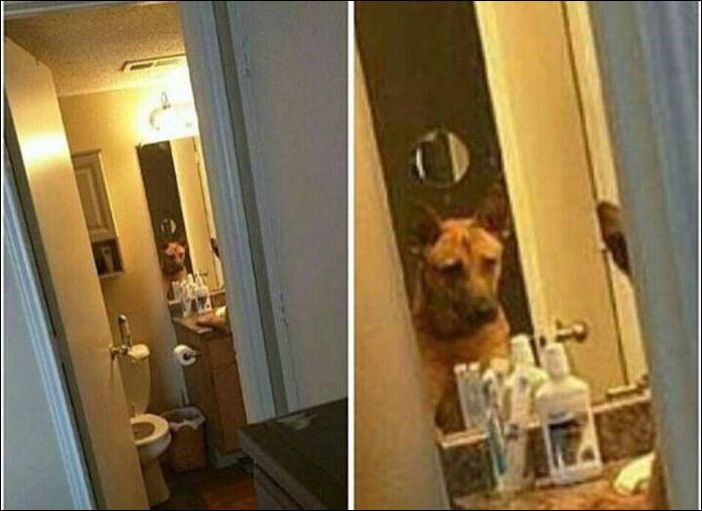 фото приколы