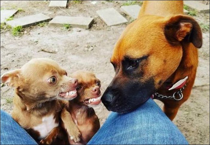 фото приколы