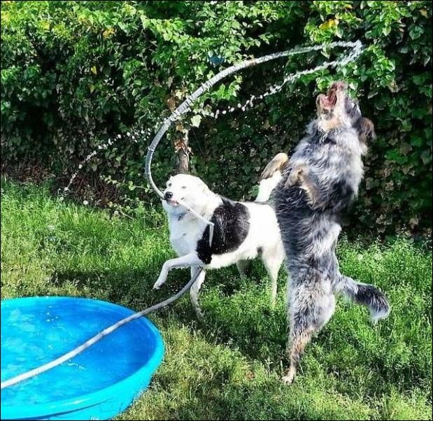 фото приколы