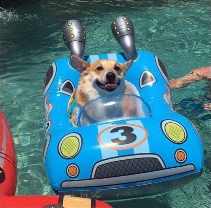 фото приколы