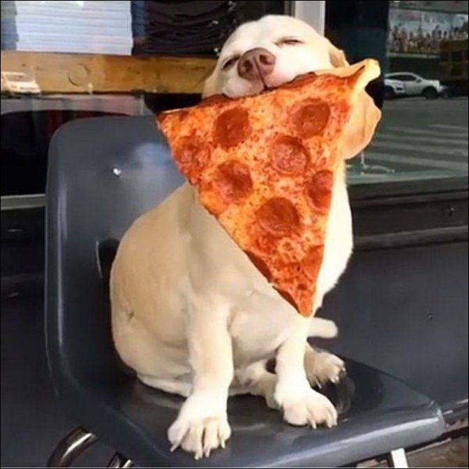 фото приколы