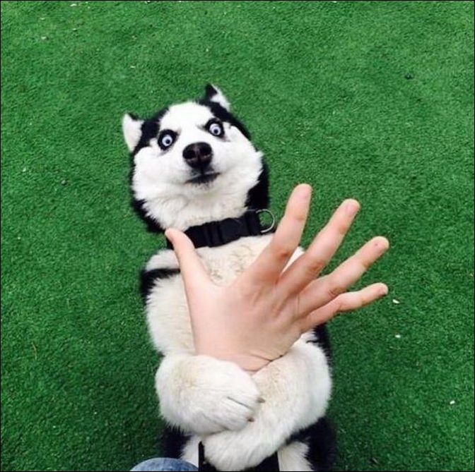 фото приколы