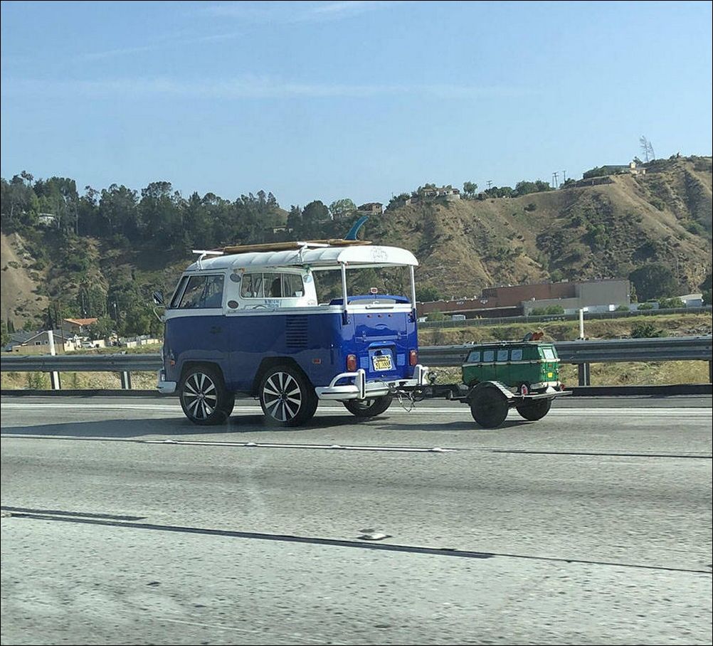 фото приколы