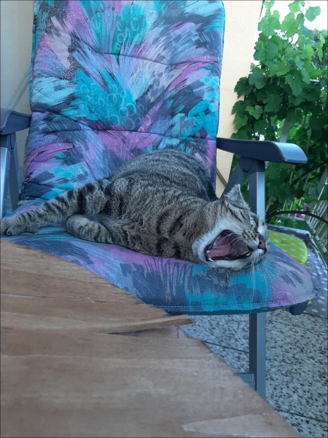 фото приколы