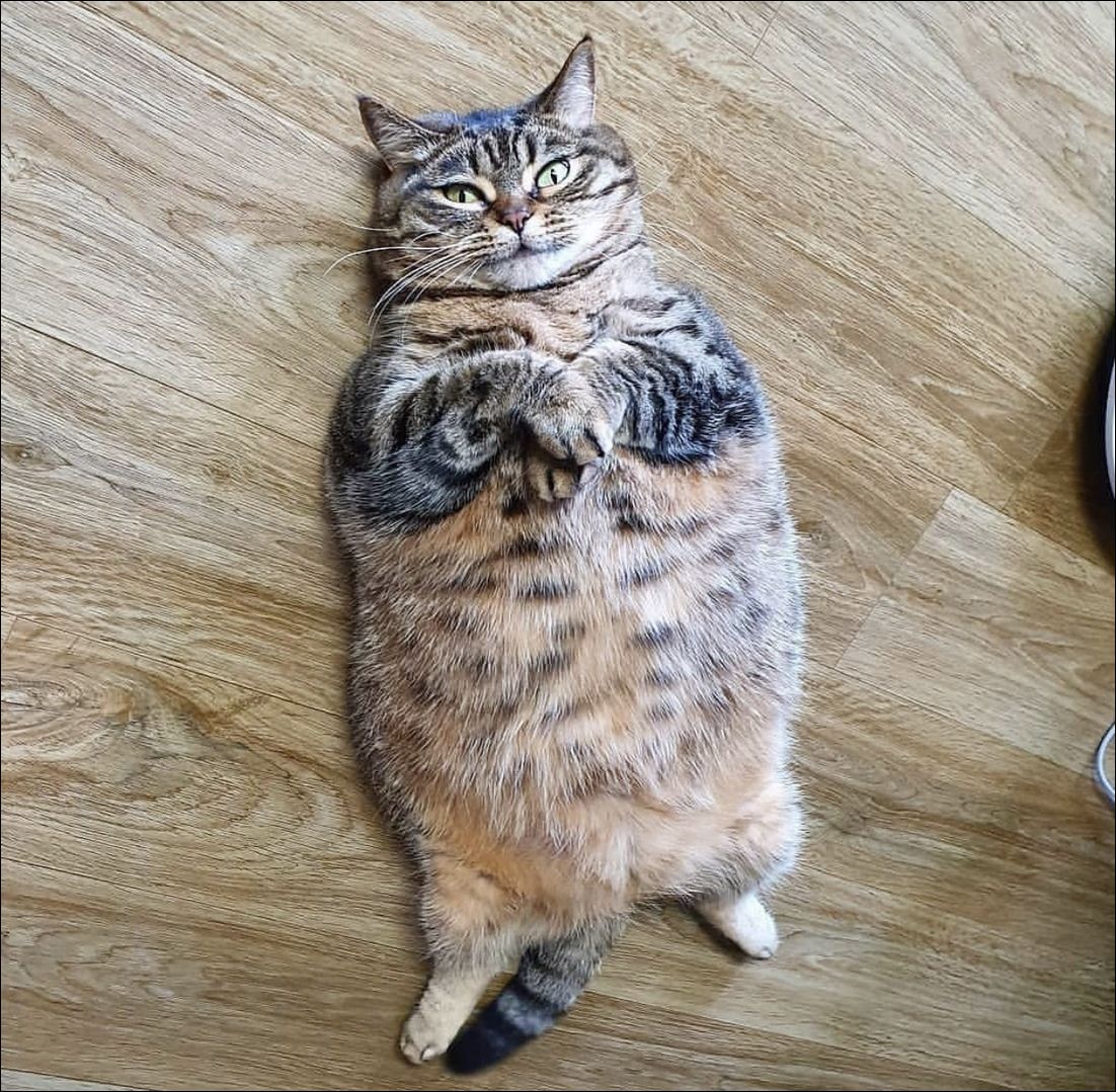 фото приколы